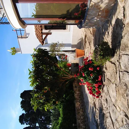 לינה וארוחת בוקר Terra Marique