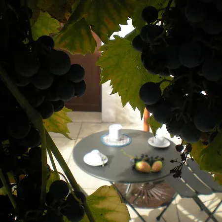 Bed & Breakfast Terra Marique