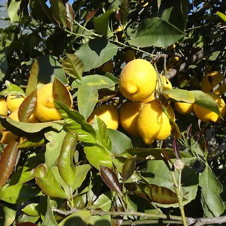 Nocleg ze śniadaniem Terra Marique