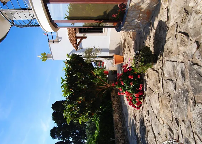 לינה וארוחת בוקר Terra Marique